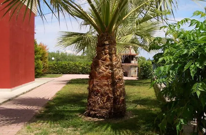 Monika * 克里皮吉