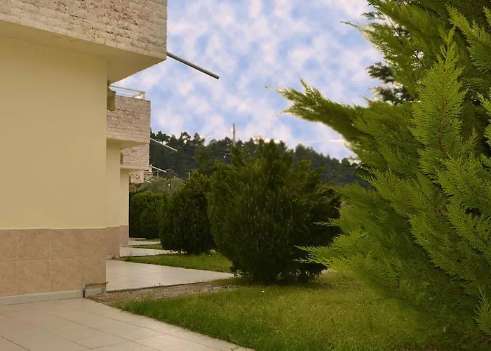 Monika * 克里皮吉